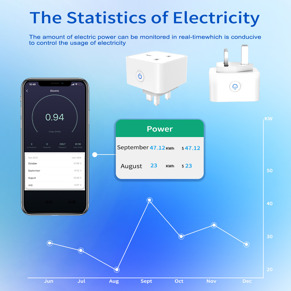 Tuya Smart Socket 16A/20A WiFi - огляд і ціна Smart Home Wiser