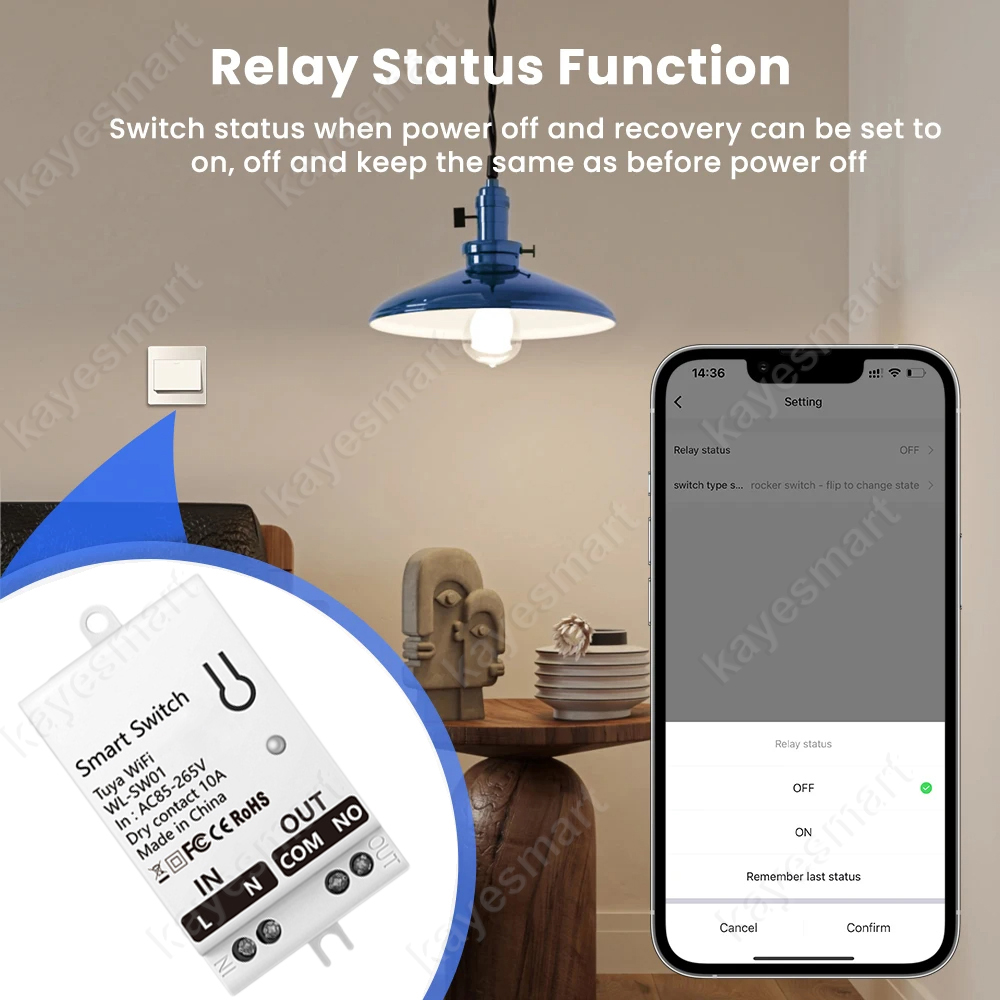 Tuya WiFi Smart Switch Module  - огляд і ціна Smart Home Sistem