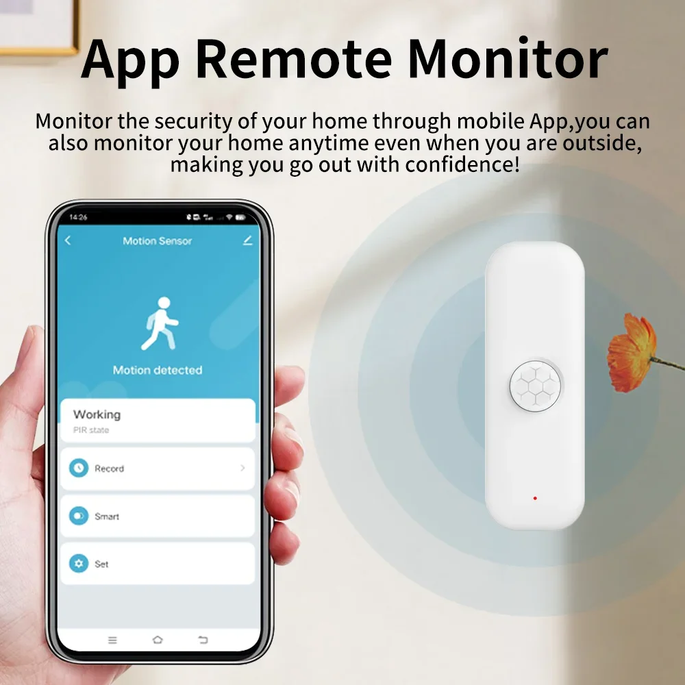 Tuya WiFI Zigbee PIR Motion Se - огляд і ціна Smart Home Wiser