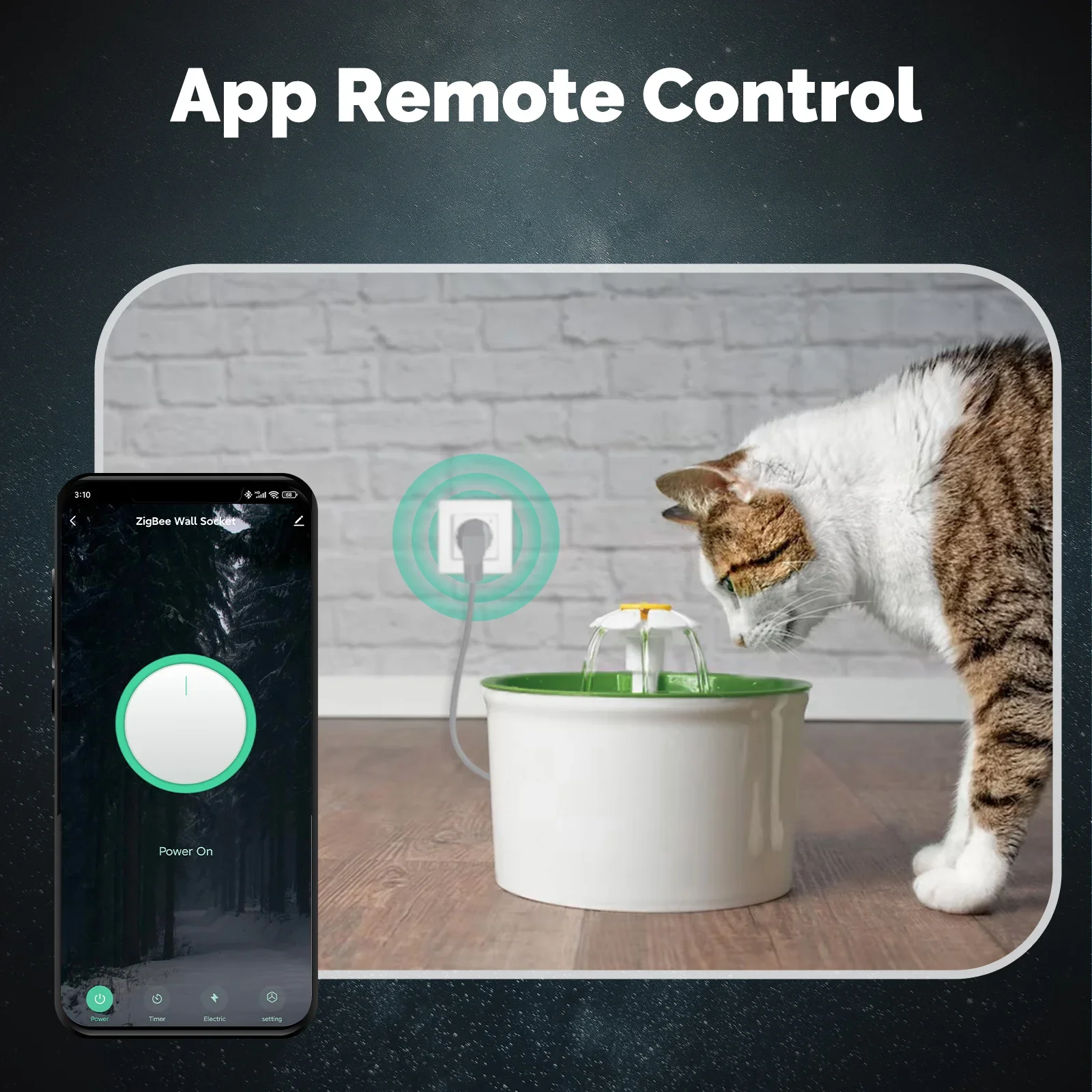 MOES Tuya ZigBee Smart Socket  - огляд і ціна Smart Home Energy