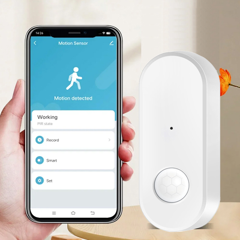 Tuya WiFi PIR Motion Sensor Sm - огляд і ціна Smart Home Wiser