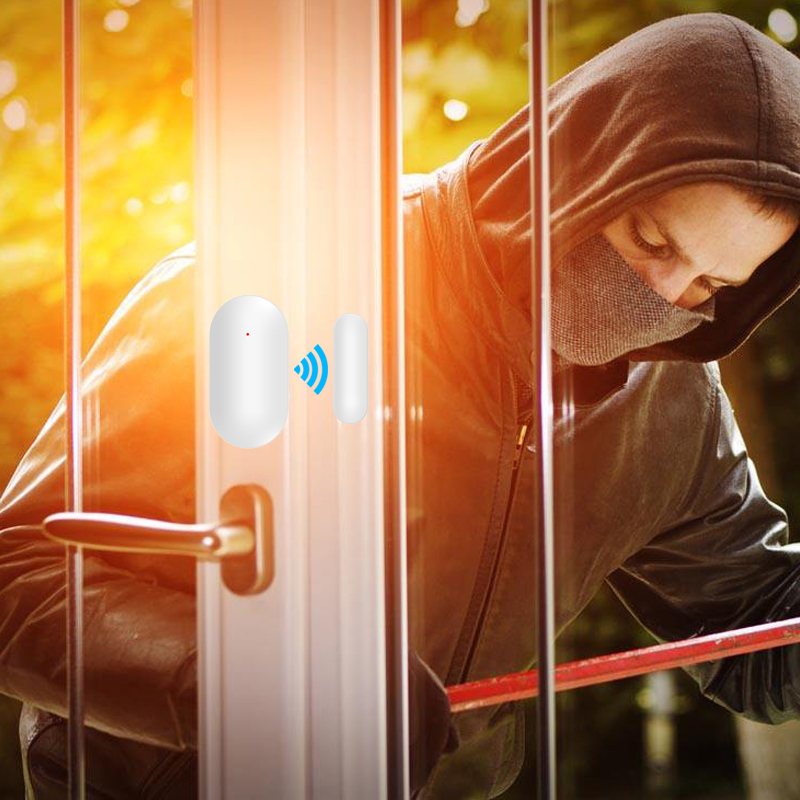 Wireless Door Sensor 433MHz Mi - огляд і ціна Smart Home Miniature
