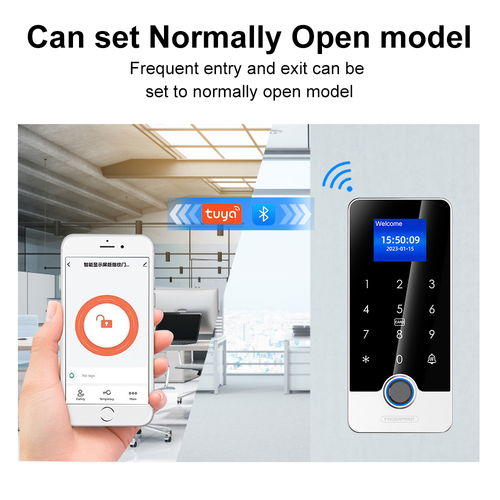 Tuya App Fingerprint RFID Acce - огляд і ціна Home Automation Kit